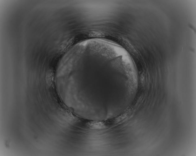 X0000091210322200709061444