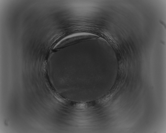 X0000091210325200709061444