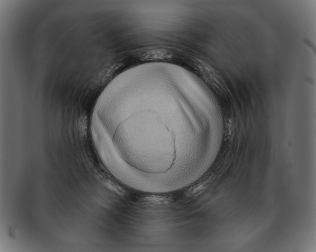 X0000091210326200709061444