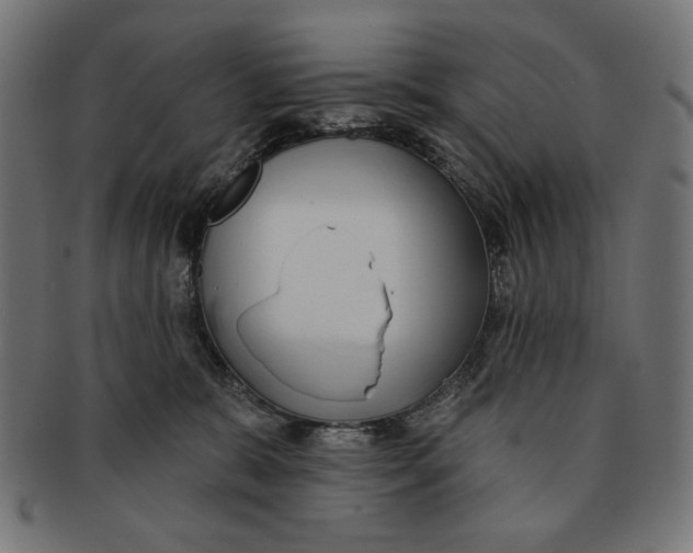 X0000091210327200709061444