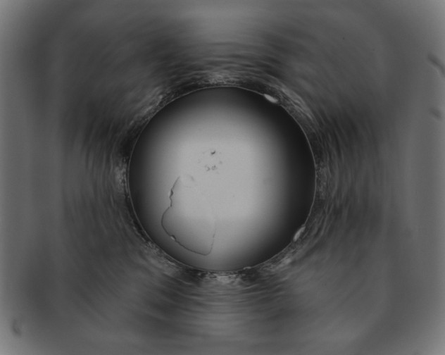 X0000091210329200709061444