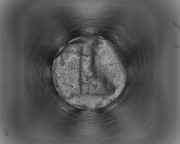 X0000091210331200709061444