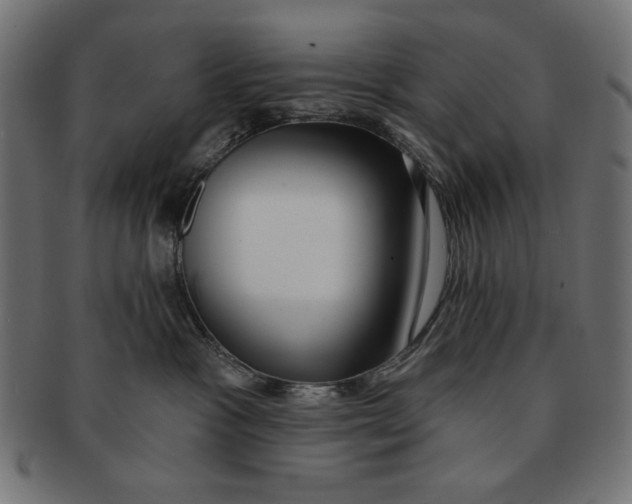 X0000091210333200709061444