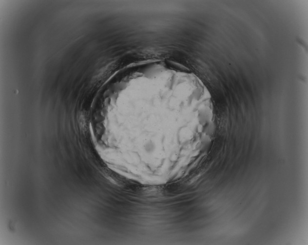 X0000091210335200709061444