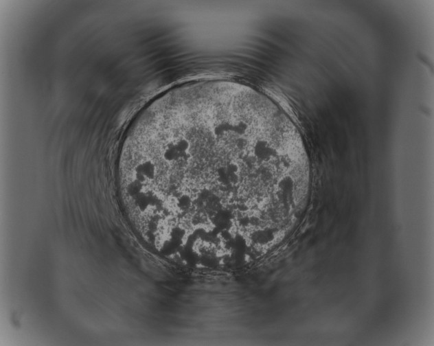 X0000091210337200709061444