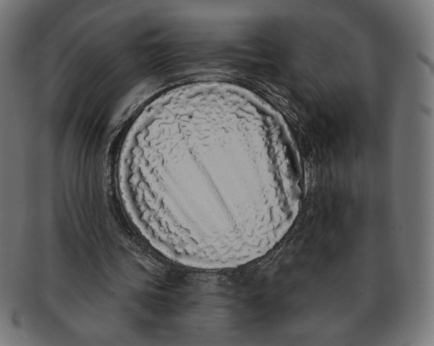 X0000091210339200709061444