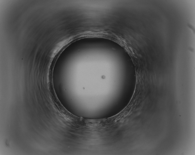 X0000091210340200709061444