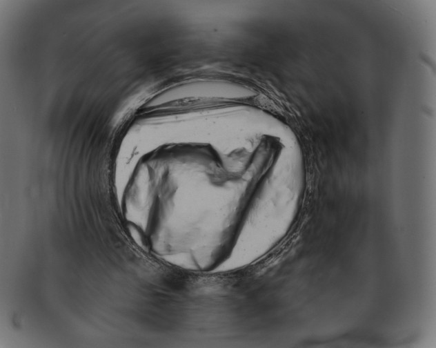 X0000091210341200709061444