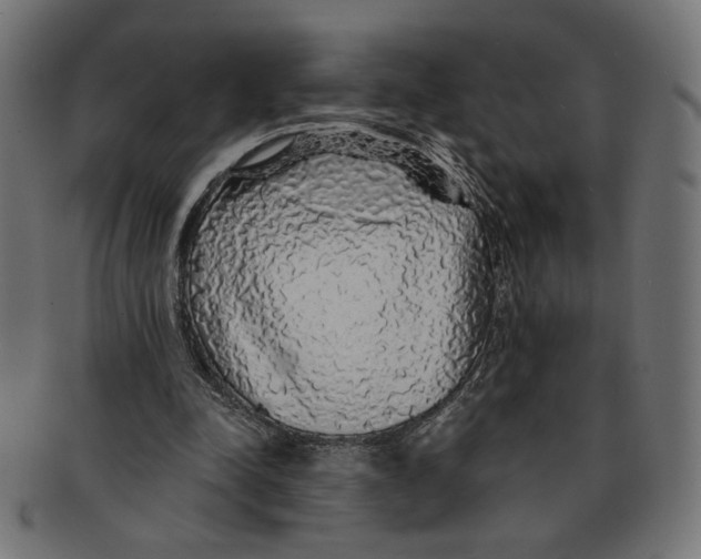 X0000091210342200709061444