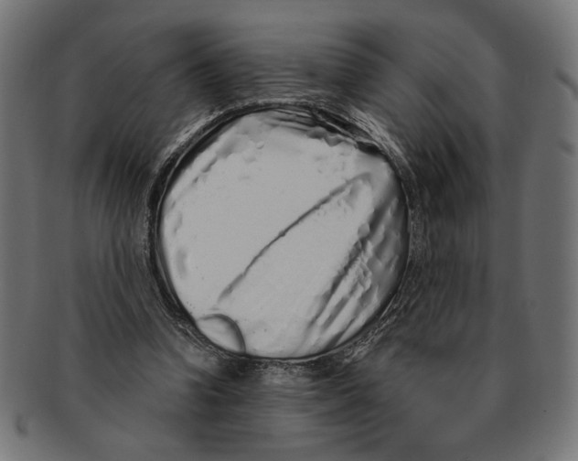 X0000091210346200709061444