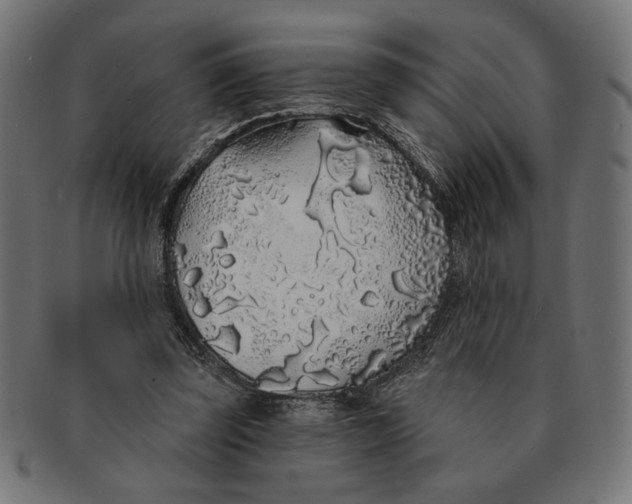 X0000091210347200709061444