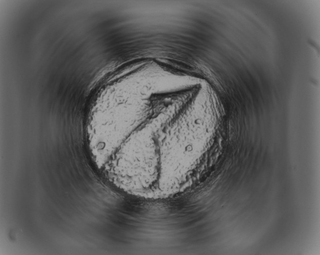 X0000091210349200709061444