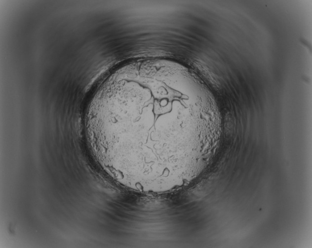 X0000091210351200709061444