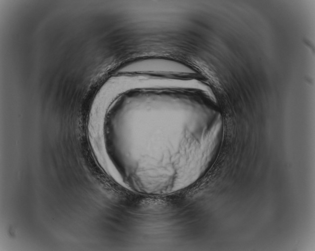 X0000091210354200709061444