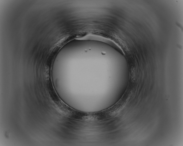 X0000091210356200709061444