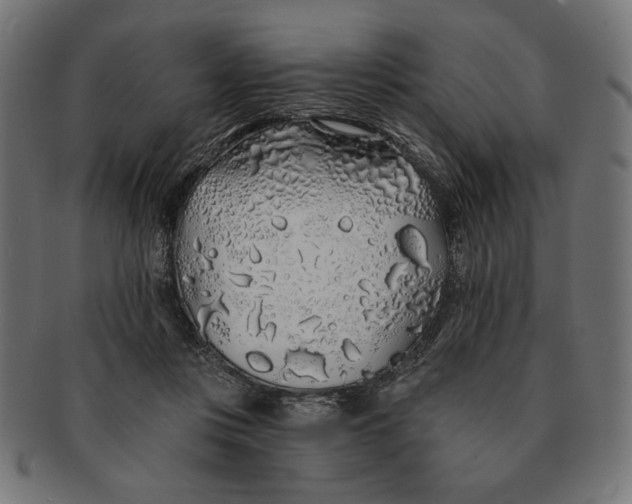 X0000091210359200709061444