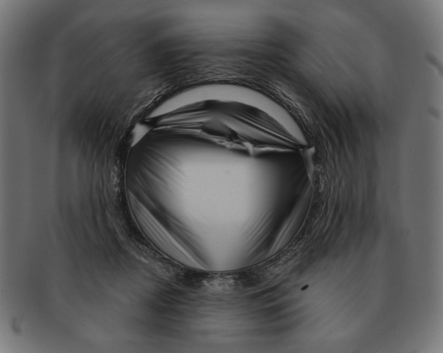 X0000091210362200709061444