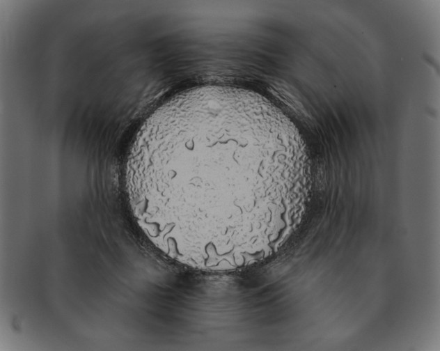 X0000091210363200709061444