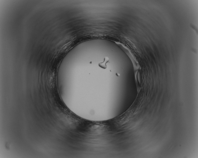 X0000091210364200709061444