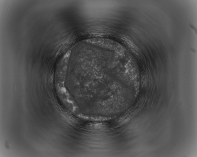 X0000091210365200709061444