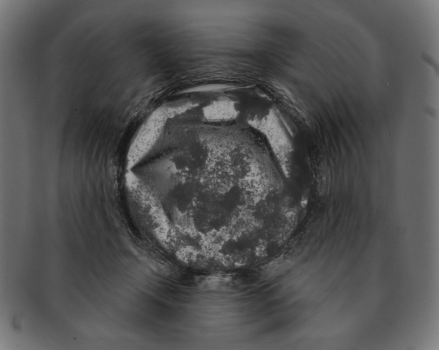 X0000091210366200709061444