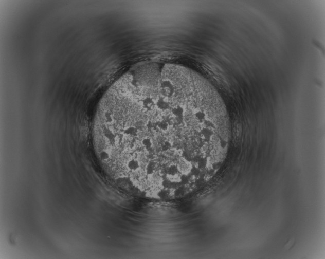 X0000091210367200709061444