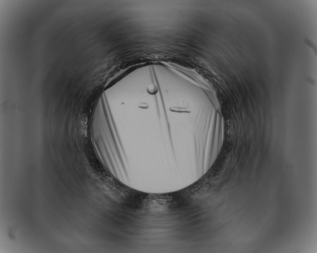 X0000091210368200709061444