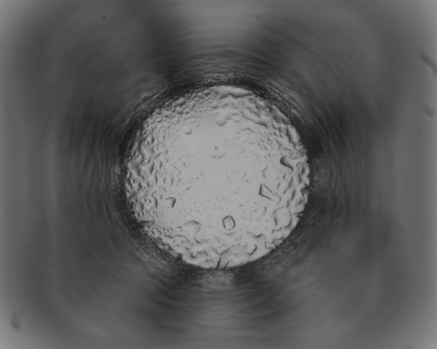 X0000091210369200709061444