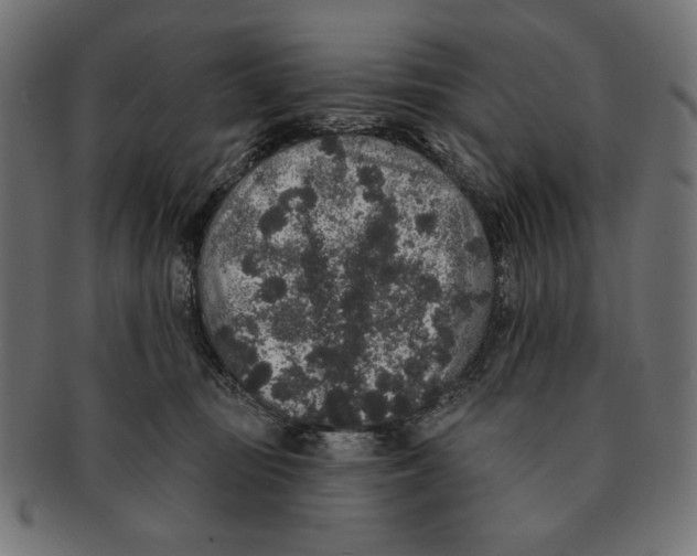 X0000091210371200709061444