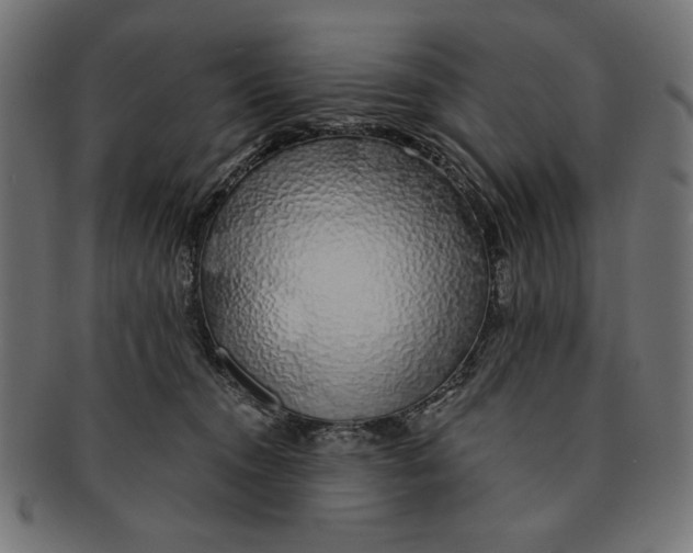 X0000091210372200709061444