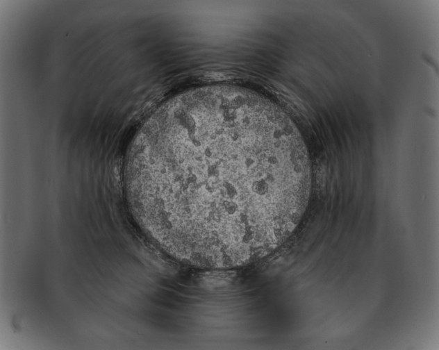 X0000091210373200709061444