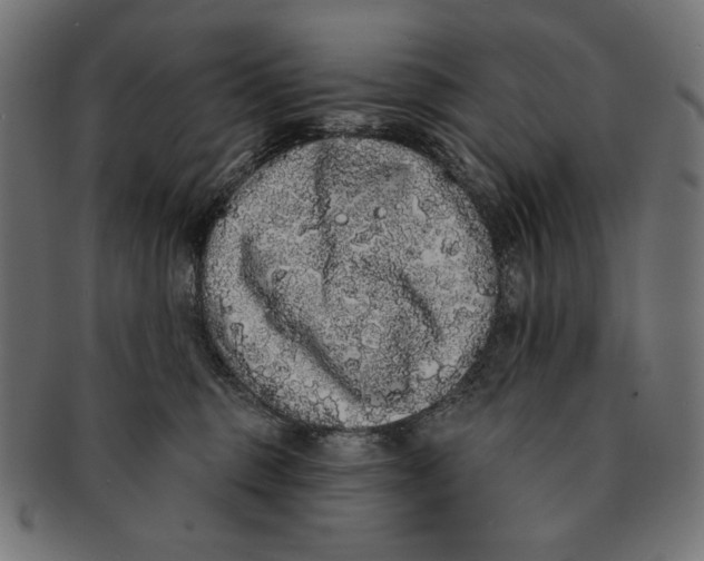 X0000091210375200709061444