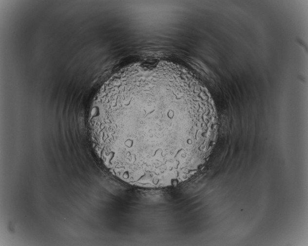 X0000091210377200709061444