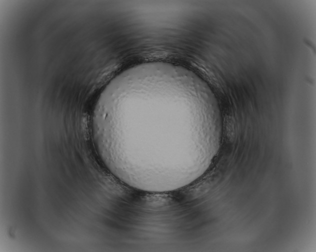 X0000091210378200709061444