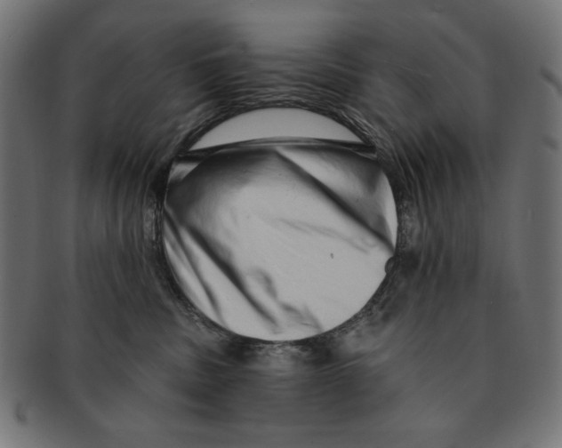 X0000091210379200709061444