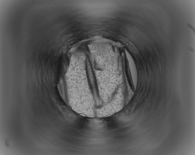 X0000091210380200709061444