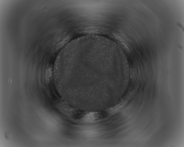 X0000091210382200709061444