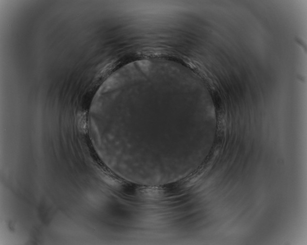 X0000091210383200709061444