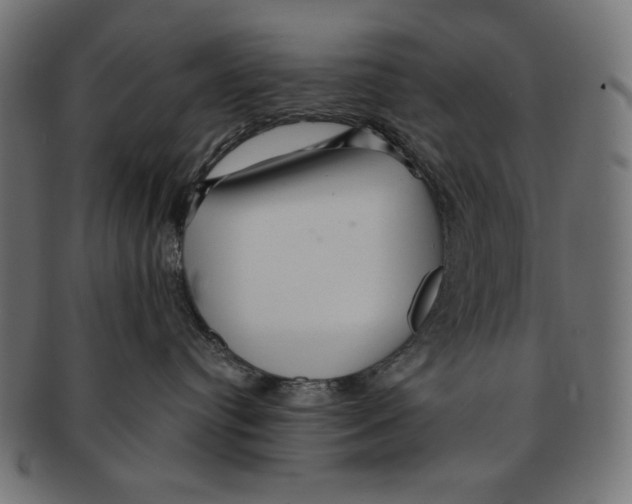 X0000091210384200709061444