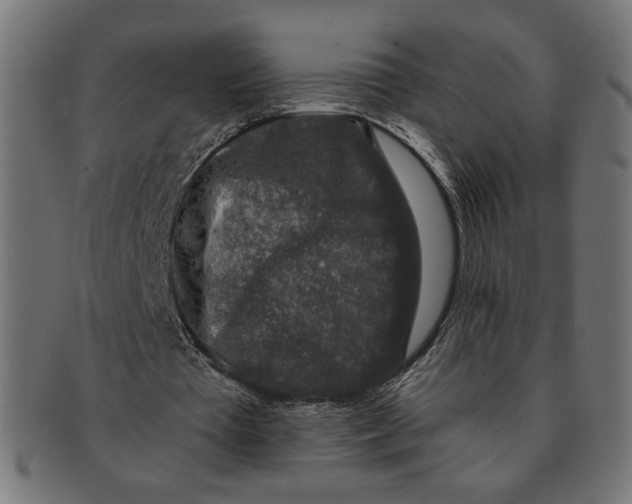 X0000091210385200709061444