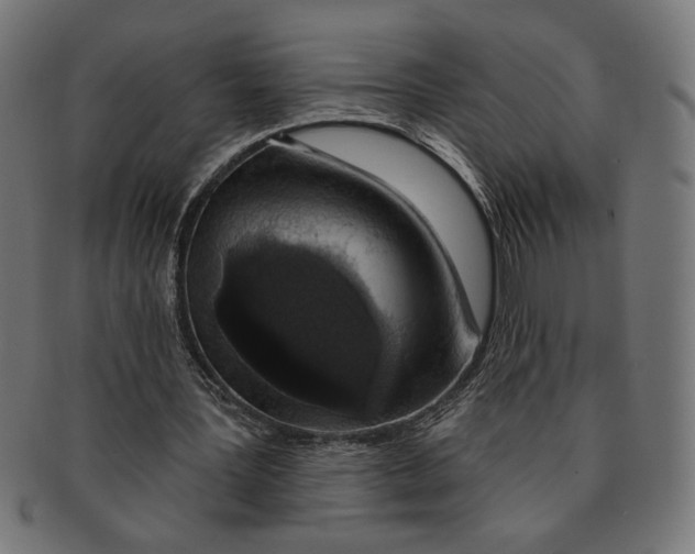 X0000091210387200709061444