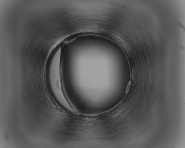 X0000091210388200709061444