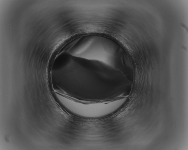 X0000091210391200709061444