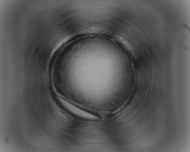 X0000091210392200709061444