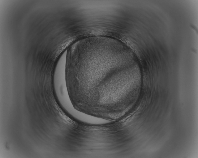 X0000091210393200709061444