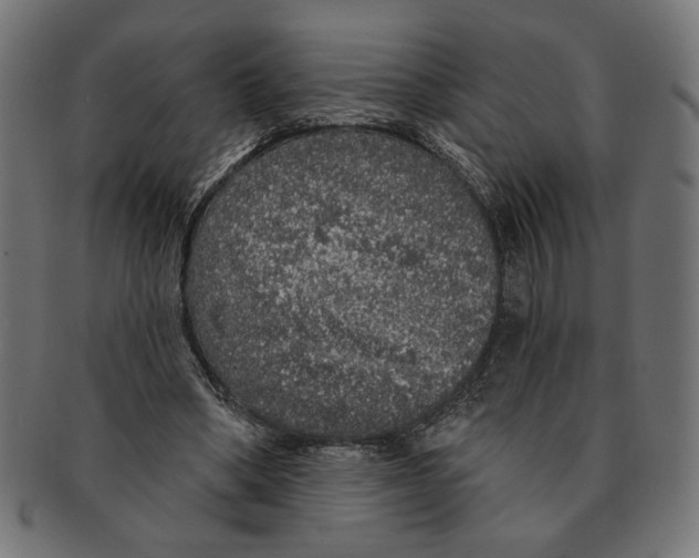 X0000091210394200709061444