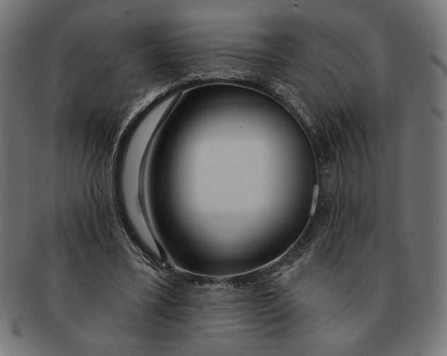 X0000091210395200709061444