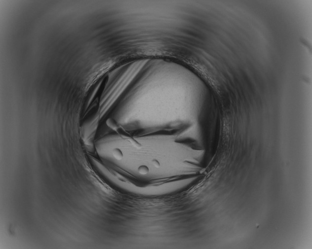 X0000091210397200709061444