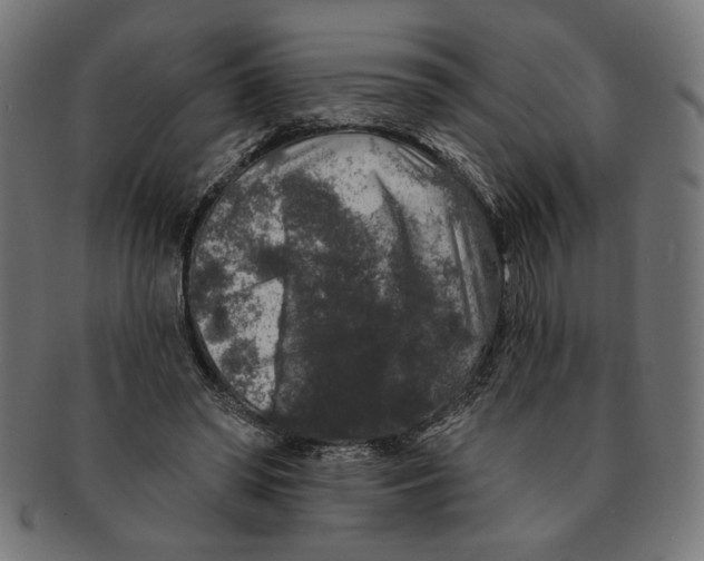 X0000091210398200709061444