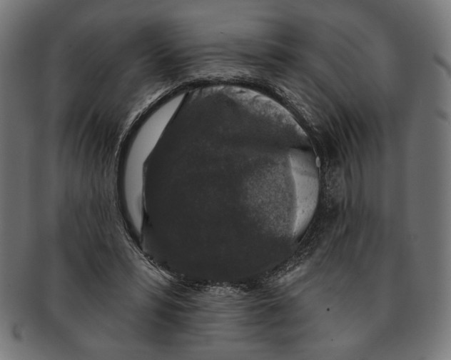 X0000091210399200709061443